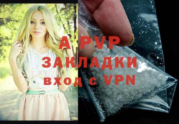 сатива Баксан